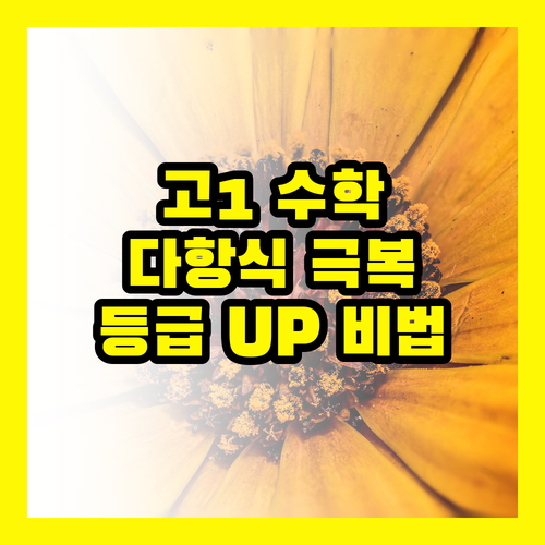 고1 수학, 다항식 때문에 좌절 금지! 등급 올리는 비법 전수